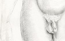 Urology