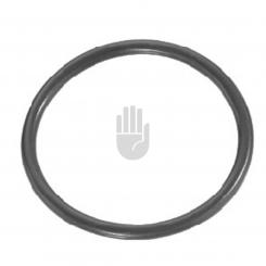 Dichtungsring 