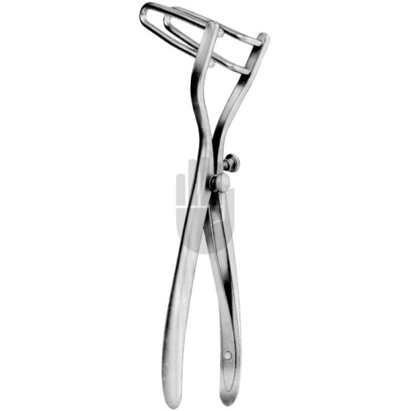 Sims 