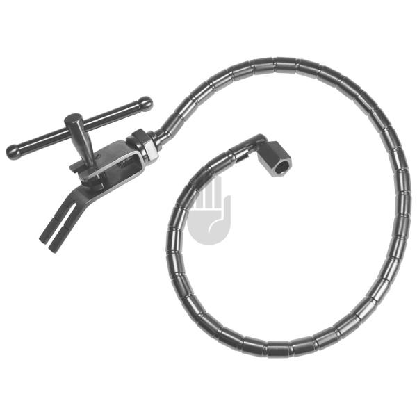 Leyla 