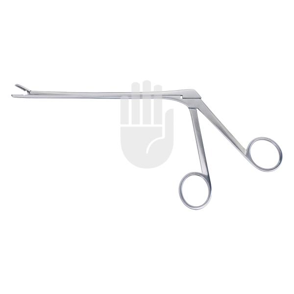 Caspar 