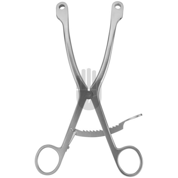 Kolbel 