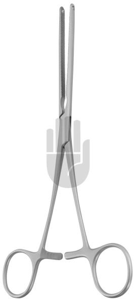 Bone Block 