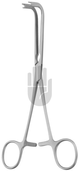 Bone Block 