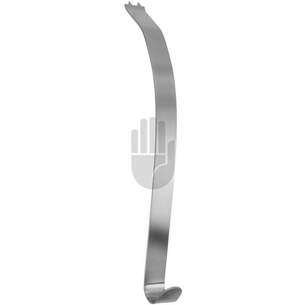 Kölbel (Glenoid) 