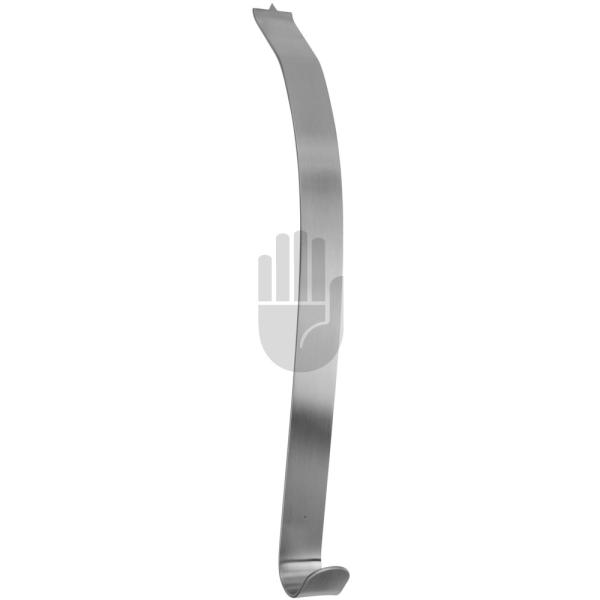 Kölbel (Glenoid) 
