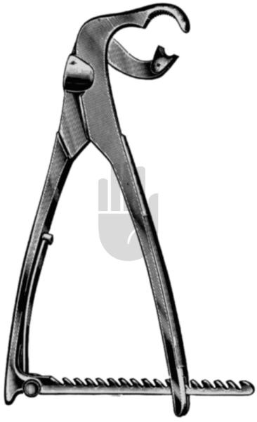 Lambotte 