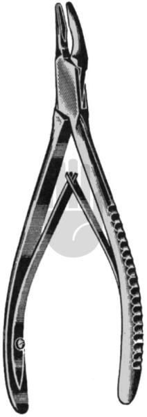 Luer-Friedmann 