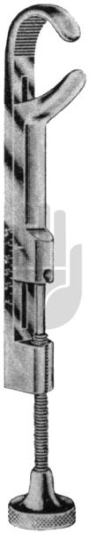 Lowman 