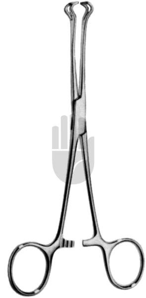 Babcock 
