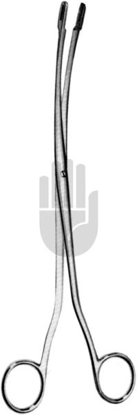 Randall 