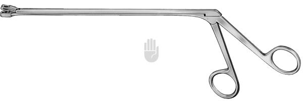 Eppendorf 