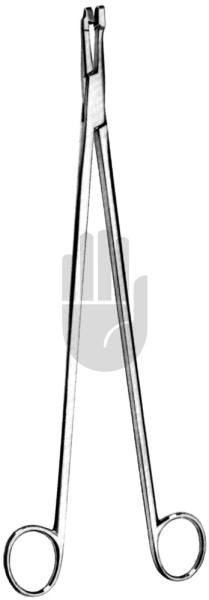 Schubert 