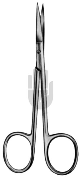 Iris scissor 