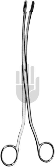 Randall 