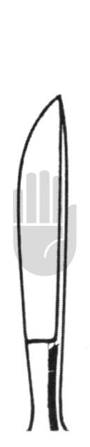 Dieffenbach 