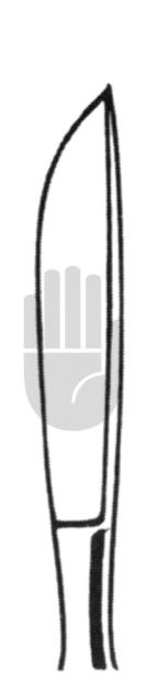 Dieffenbach 