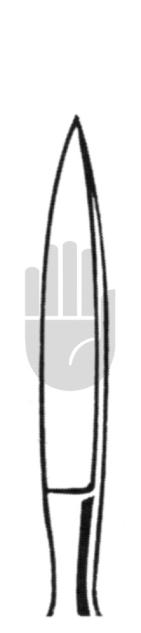 Dieffenbach 