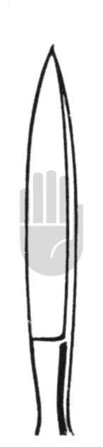 Dieffenbach 