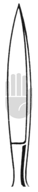 Dieffenbach 