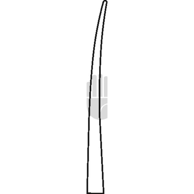 Lumbar 