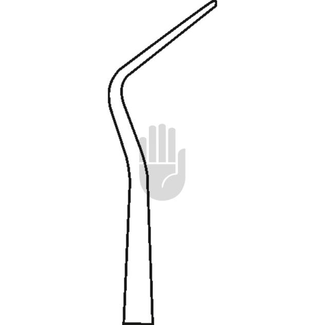 Lumbar 