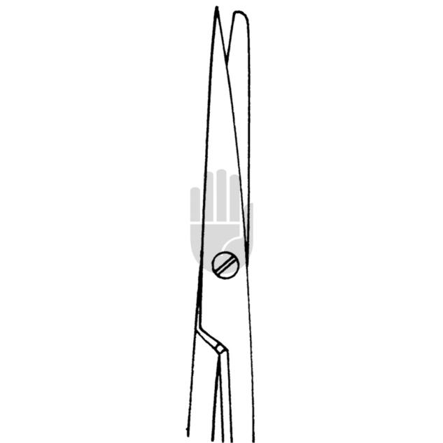 Metzenbaum 