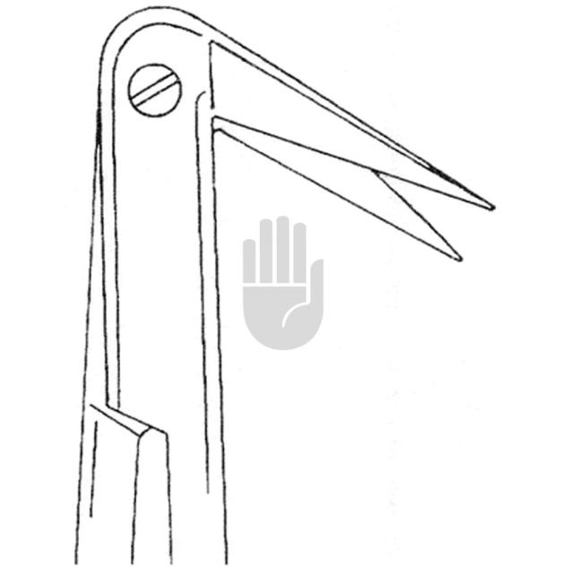 Diethrich-Hegemann 