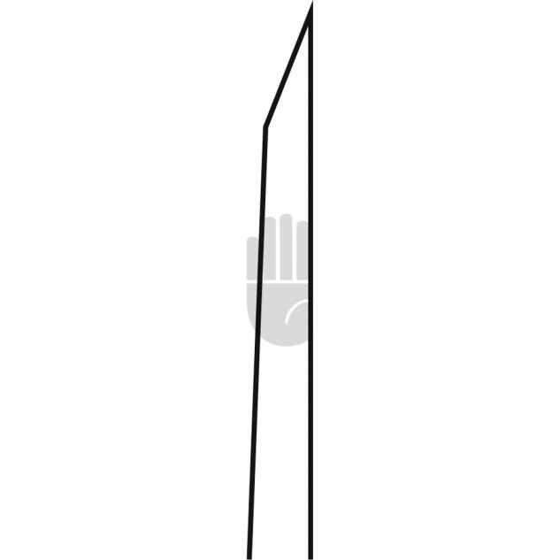 Partsch 