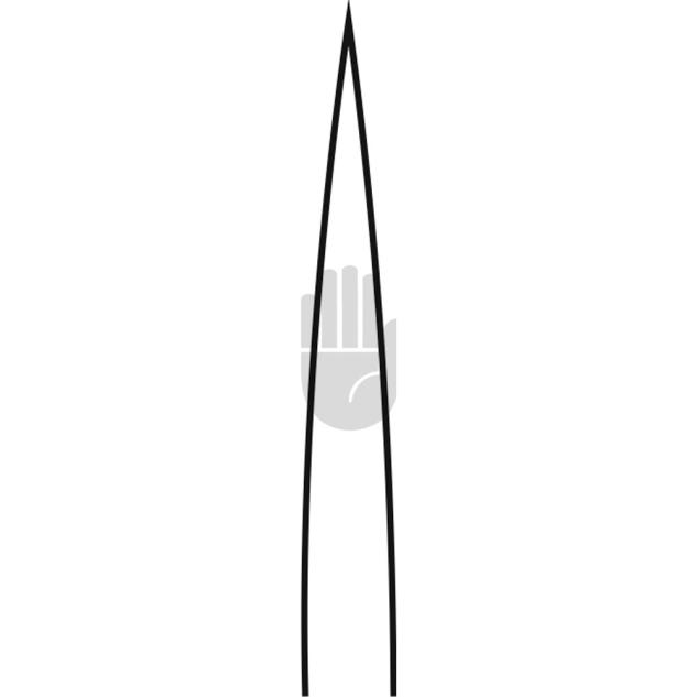 Lexer 