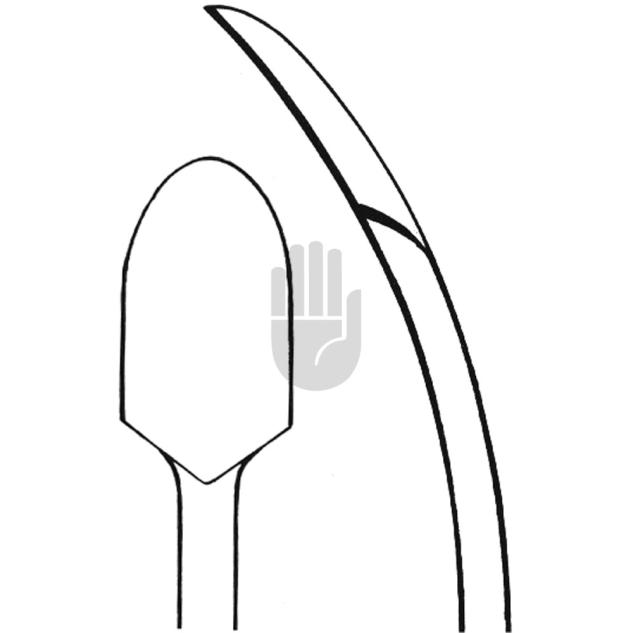 Raspatorium 