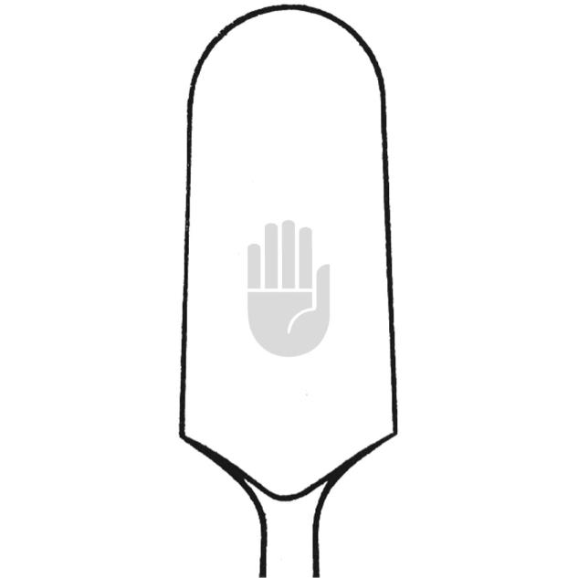 Raspatorium 