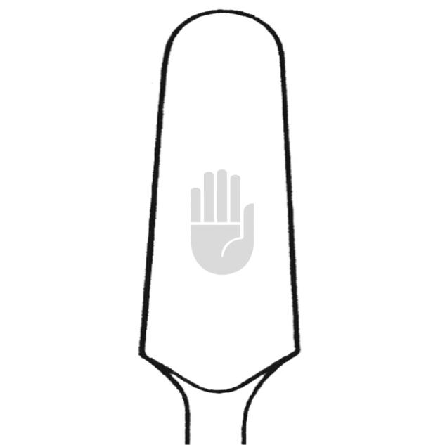 Raspatorium 