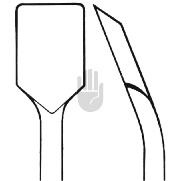 Raspatorium 