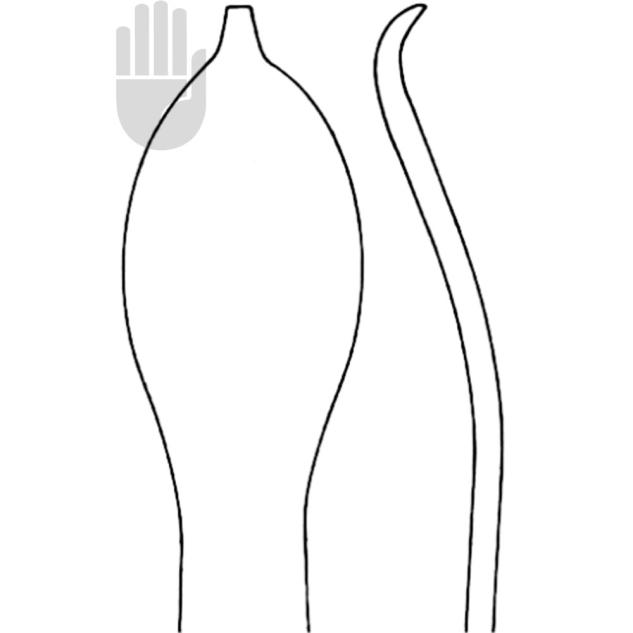 Knochenhebel 