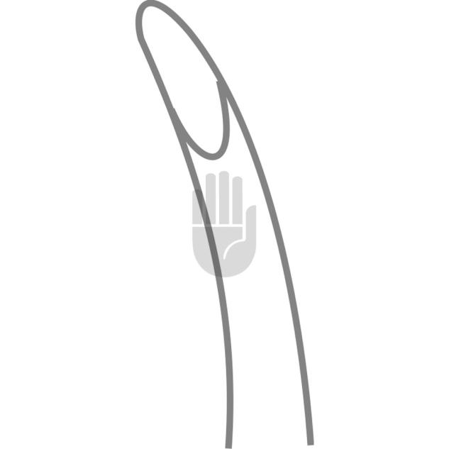 Lempert 