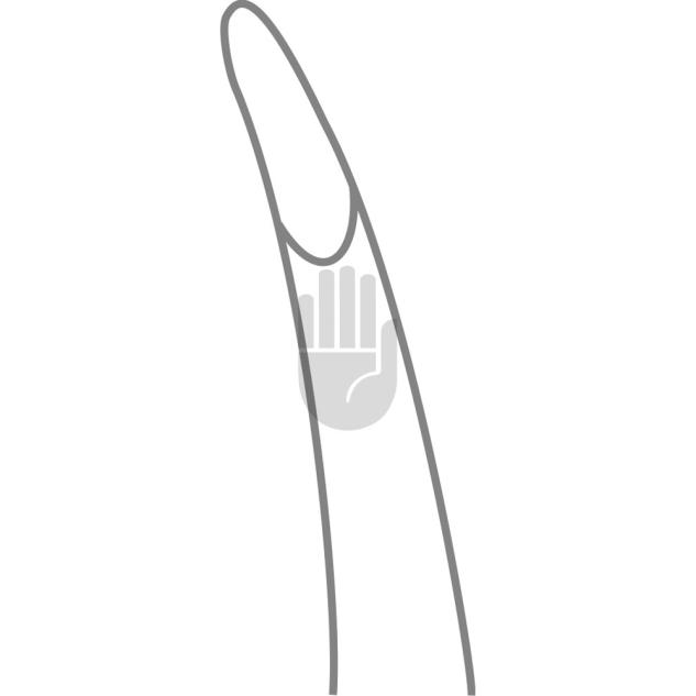 Zaufal 