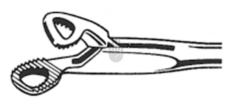 Instrumentos de laryngologia 