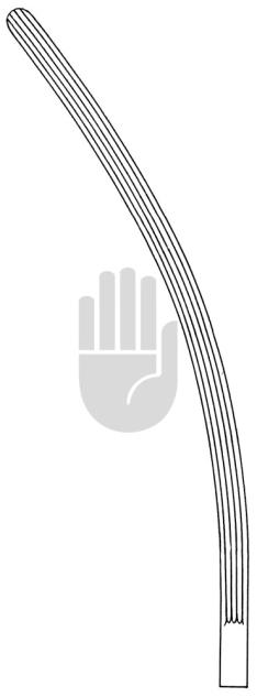 Lane 