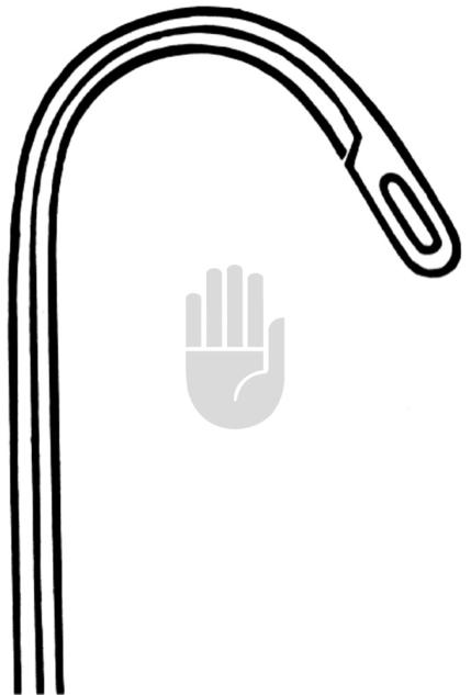 Randall 