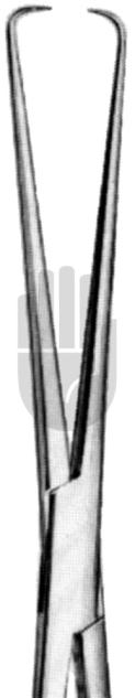 Schröder-Braun 