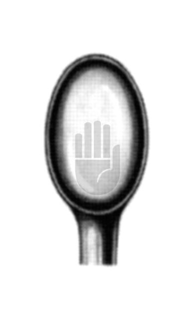 Schröder 