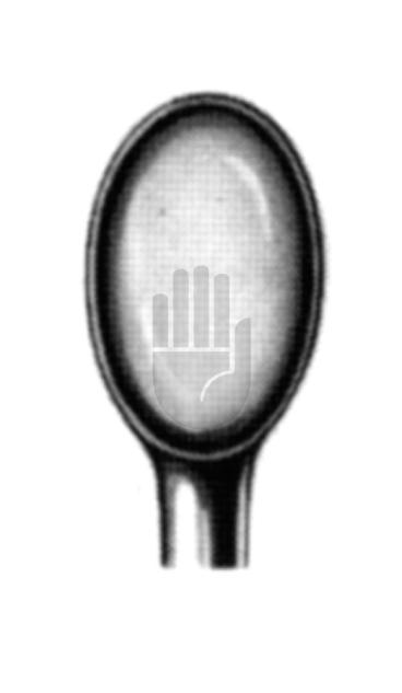 Schröder 