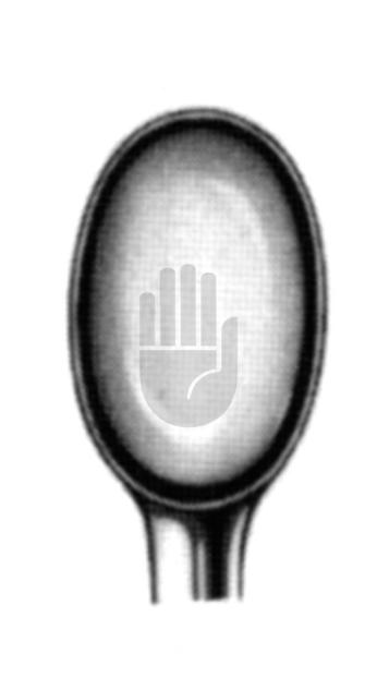 Schröder 