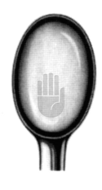 Schröder 