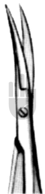 Iridektomieschere 