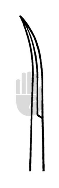 Yasargil 