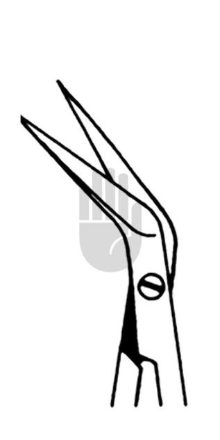 Jacobsen 