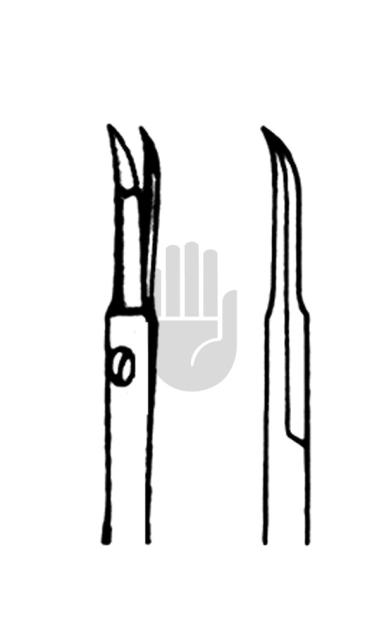 Jacobsen 