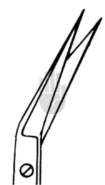 Iris scissor 